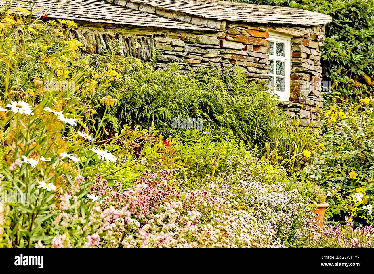 Cornwall Cottage mit Garten Stock Photo Alamy