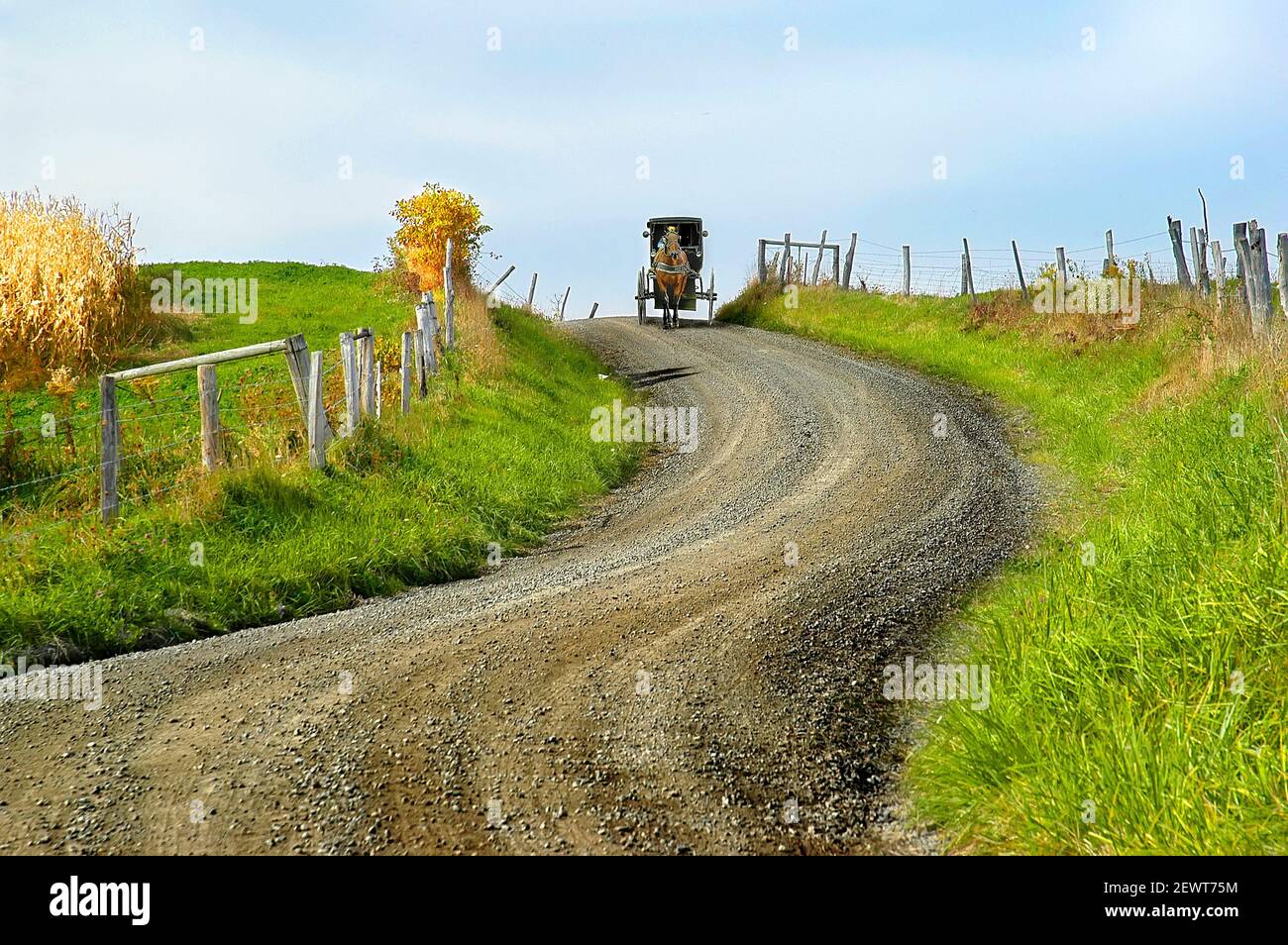 Long and Winding scenic rural road with amish people Sugarcreek and