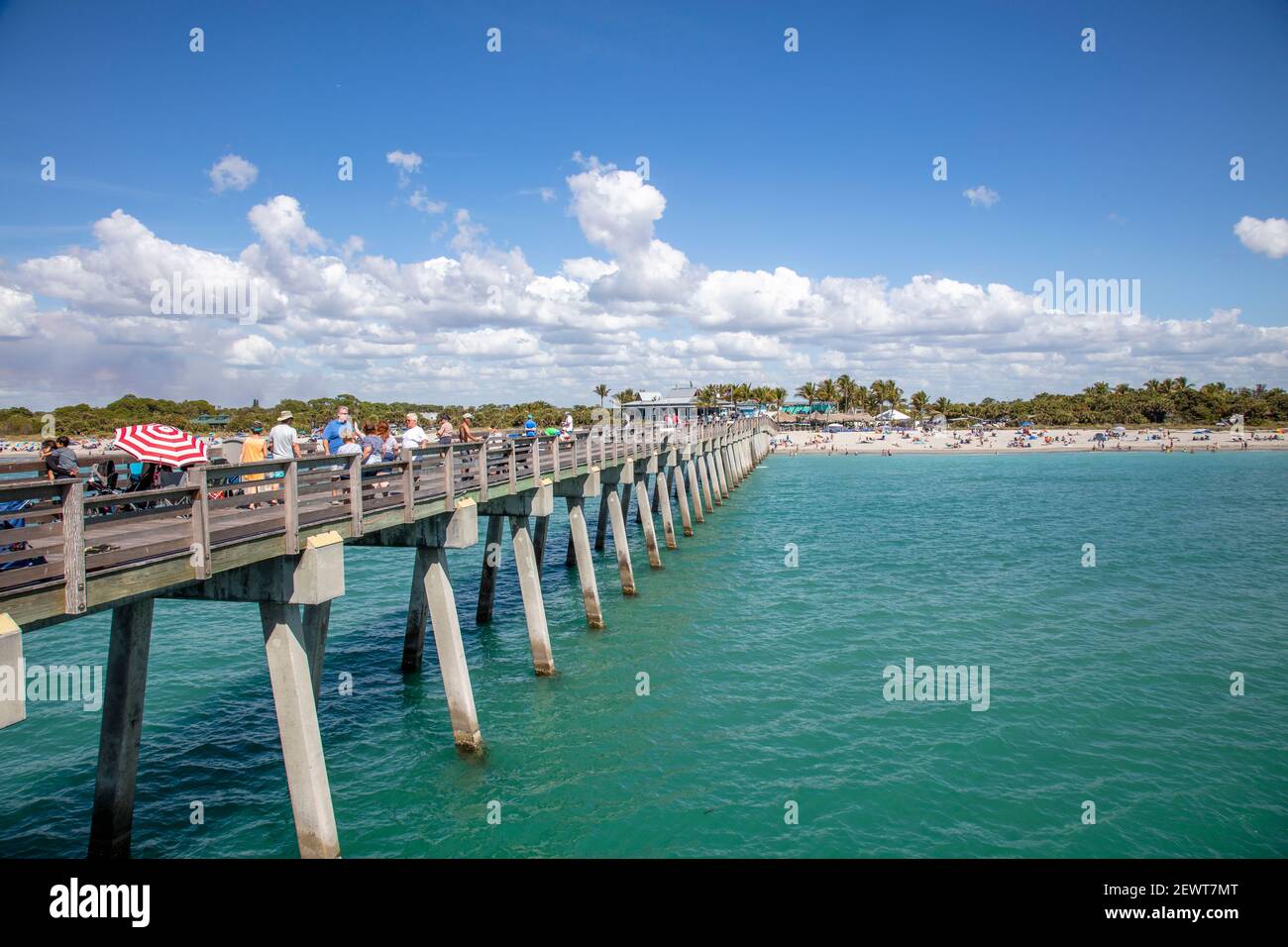 Venice Fishing Pier on the Gulf of Mexico in Venice Florida USA Stock Photo Alamy