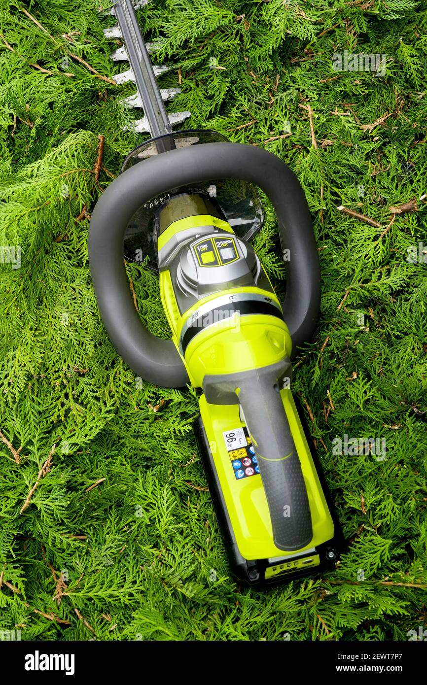 Tuya hedge hires stock photography and images Alamy