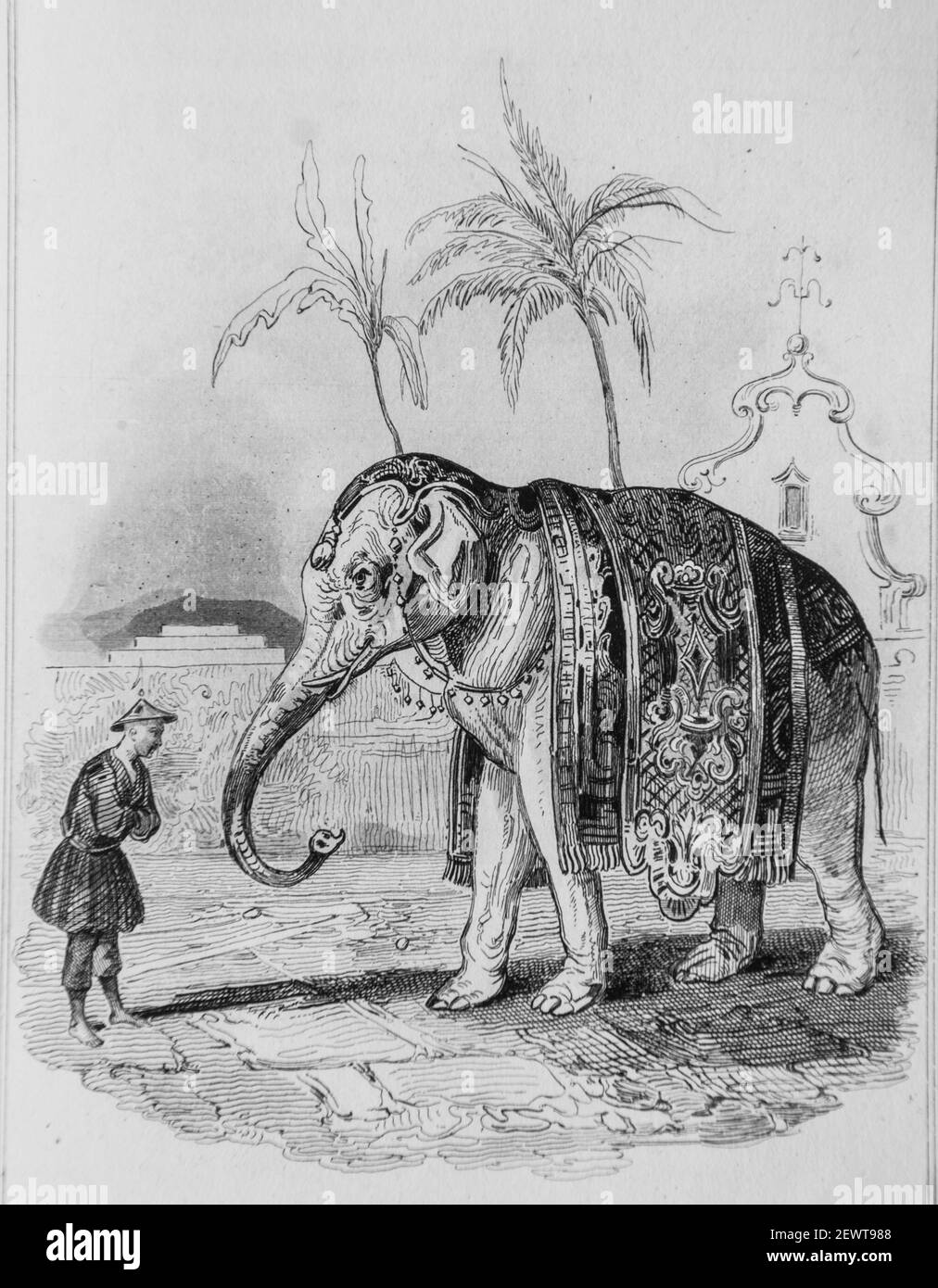 l'elephant blanc, fables de florian illustrees par victor adam ,editeur delloye,desme 1838 Stock Photo