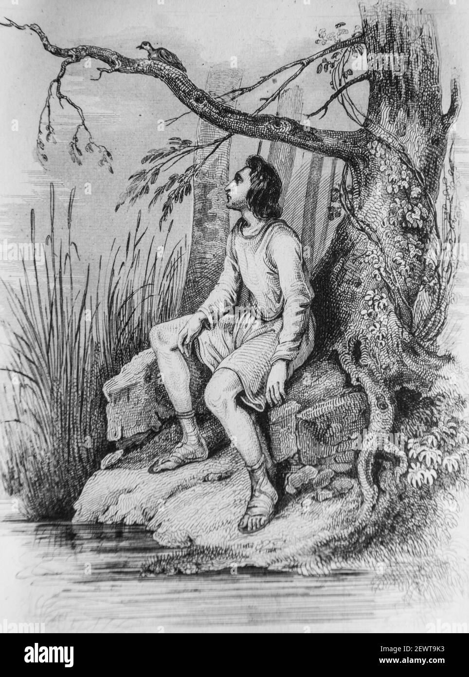 le berger et le rossignol, fables de florian illustrees par victor adam ,editeur delloye,desme 1838 Stock Photo