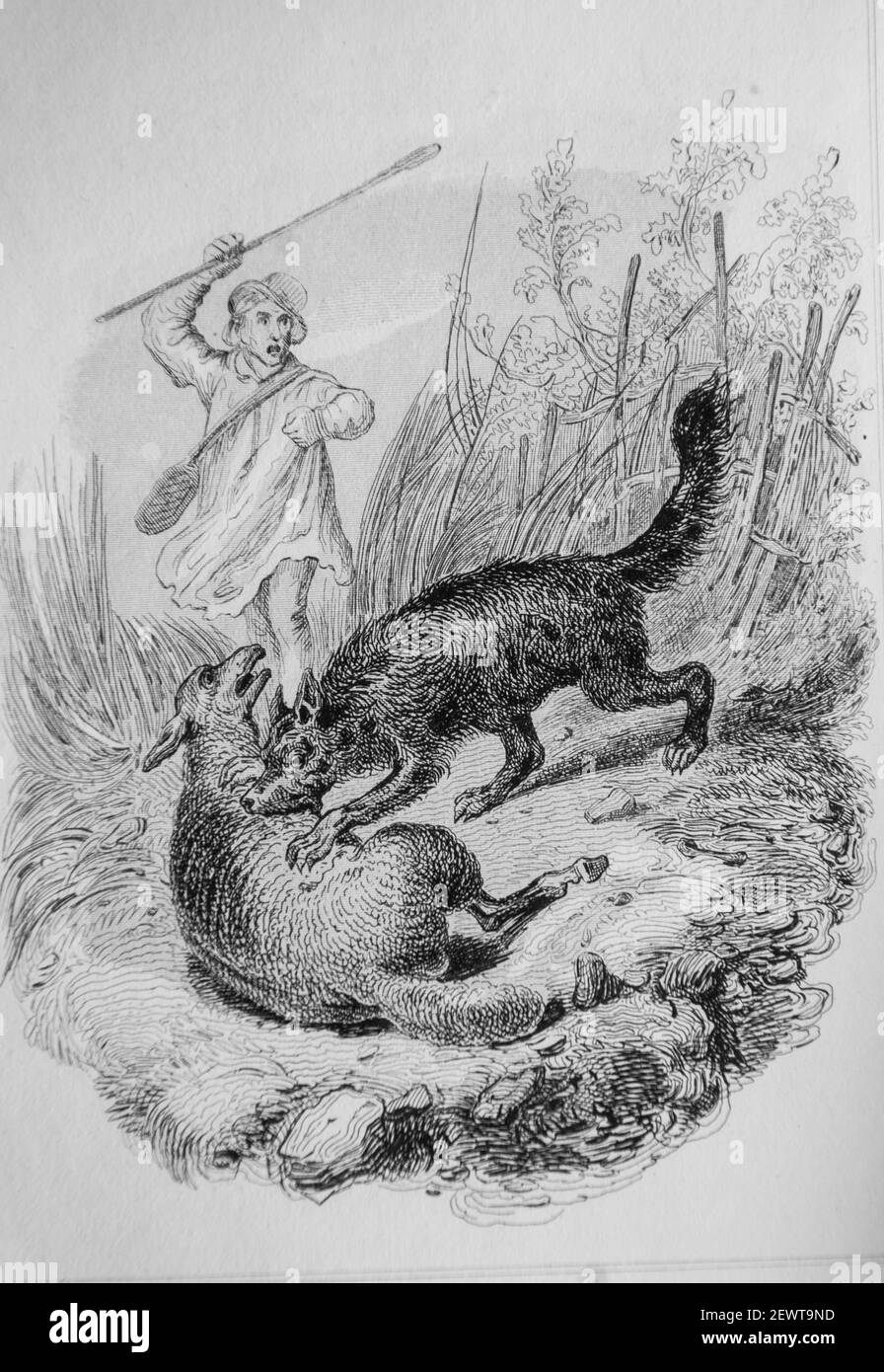 le chien coupable, fables de florian illustrees par victor adam ,editeur delloye,desme 1838 Stock Photo