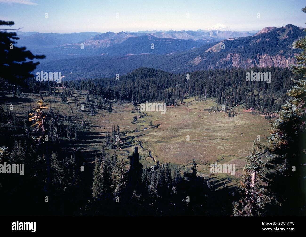 Slide / Reversal film of a wide landscape view of the Snowgrass Flats. This was taken in August 1961. Stock Photo