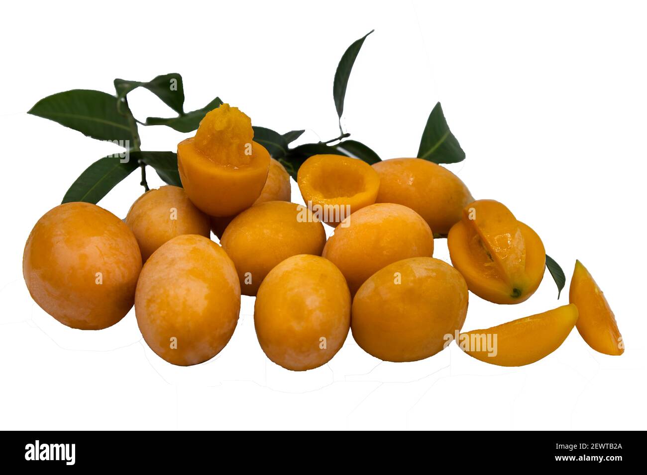 Mayong chit hi-res stock photography and images - Alamy