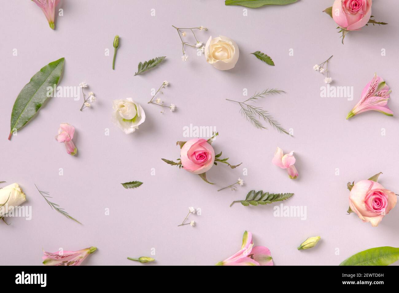 Spring flowers background. Roses, pink flora and leaves random set on gray background. Flat lay concept, pastel aestetic Stock Photo