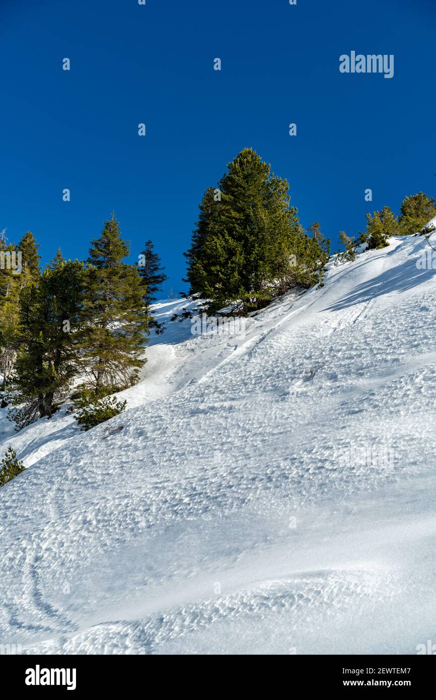 interessante Schneeoberflächen und Formen, Bäumen und Bergen. Winter wonderland with interesting snow surfaces and shapes, trees and Austrian mountain Stock Photo