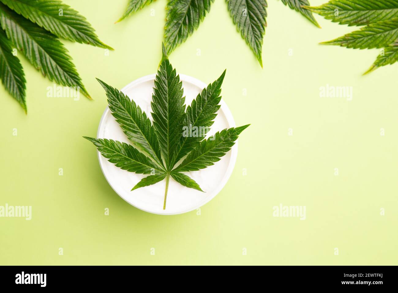 Heavy CBD topical lotion or cream with cannabis leaf on a green background Stock Photo