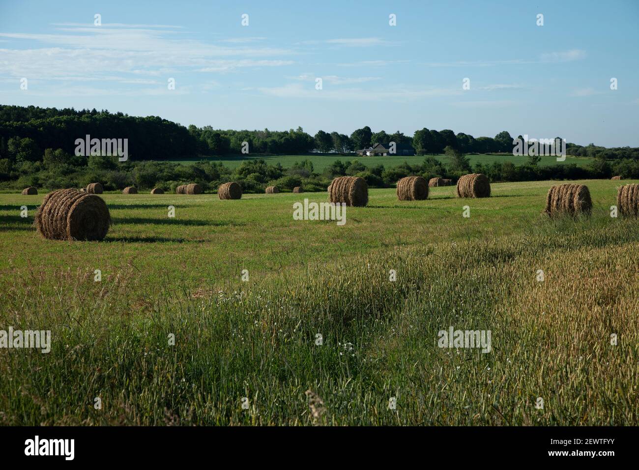 Open farmland with round bales of hay in Door County Wisconsin Stock Photo