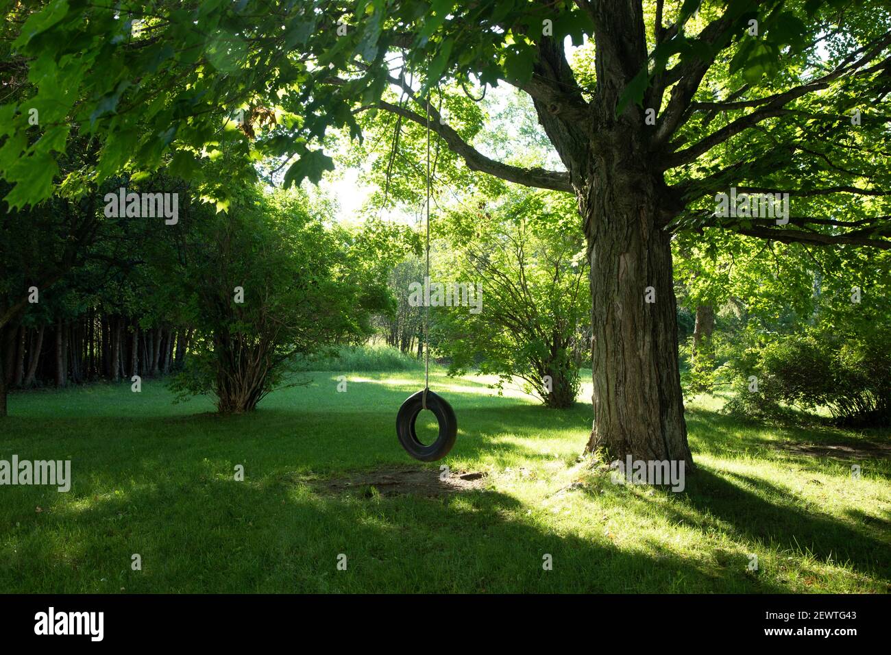 A sun dappled summertime scene of a tire swing in Door County Wisconsin USA Stock Photo