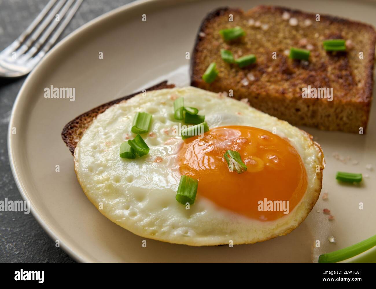 Breakfast Concept. Fried egg and rye fried bread slices, macro Stock
