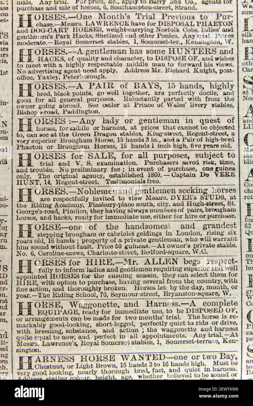 Adverts for the private sale of horses in The Times newspaper London on Thursday March 24th 1864. Stock Photo