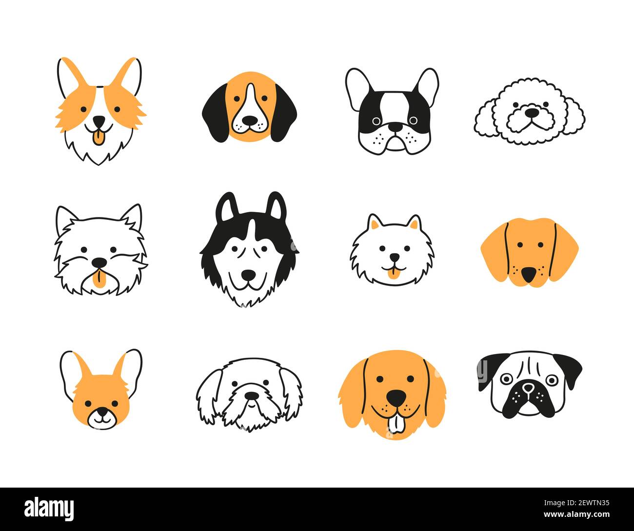 Set of heads of different breeds dogs. Corgi, Pug, Chihuahua, Terrier ...