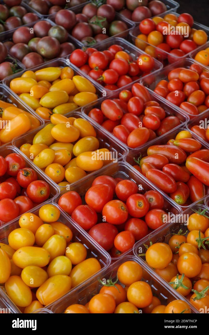 many tomato varieties Farmers' Market Sterling Virginia USA Stock Photo