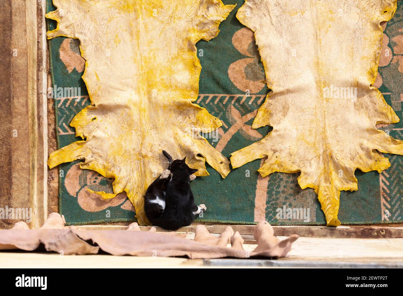 Hay lablida hires stock photography and images Alamy