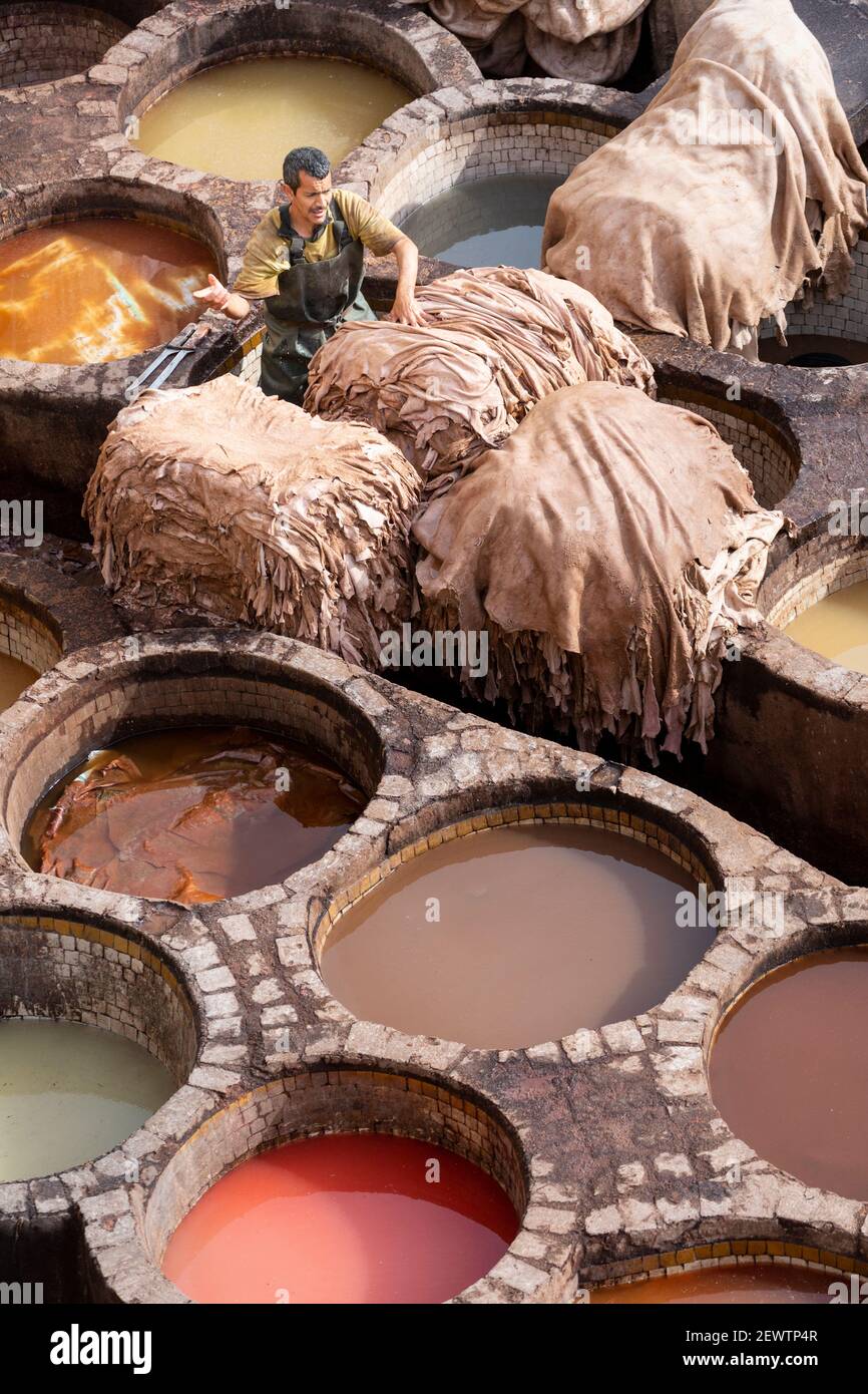 A local beside stacked animal skins and honeycombed earth pits at the Chouara Tannery, Fes, Morocco Stock Photo