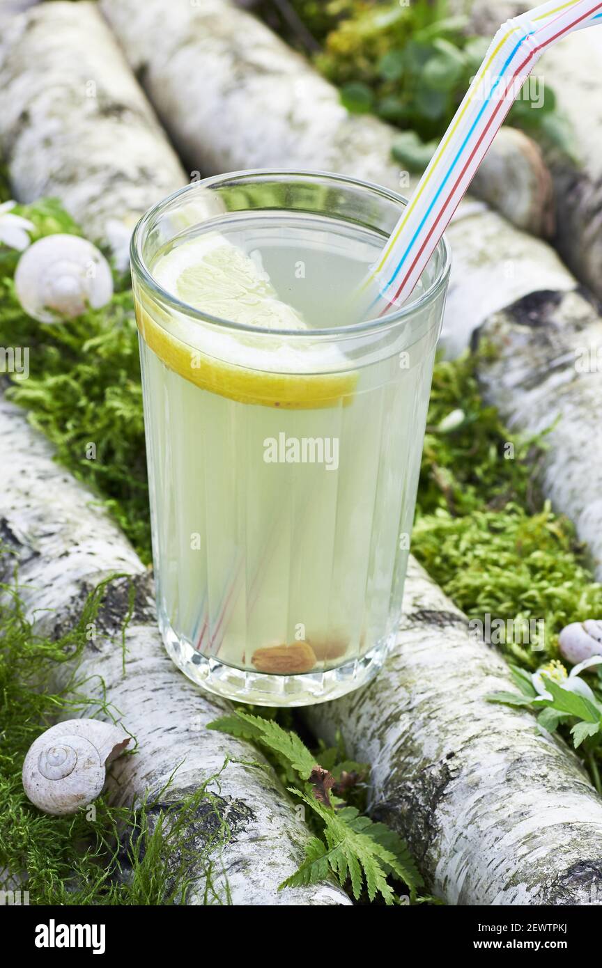 Birch sap with lemon and raisins in a glass on birch tree trunks and