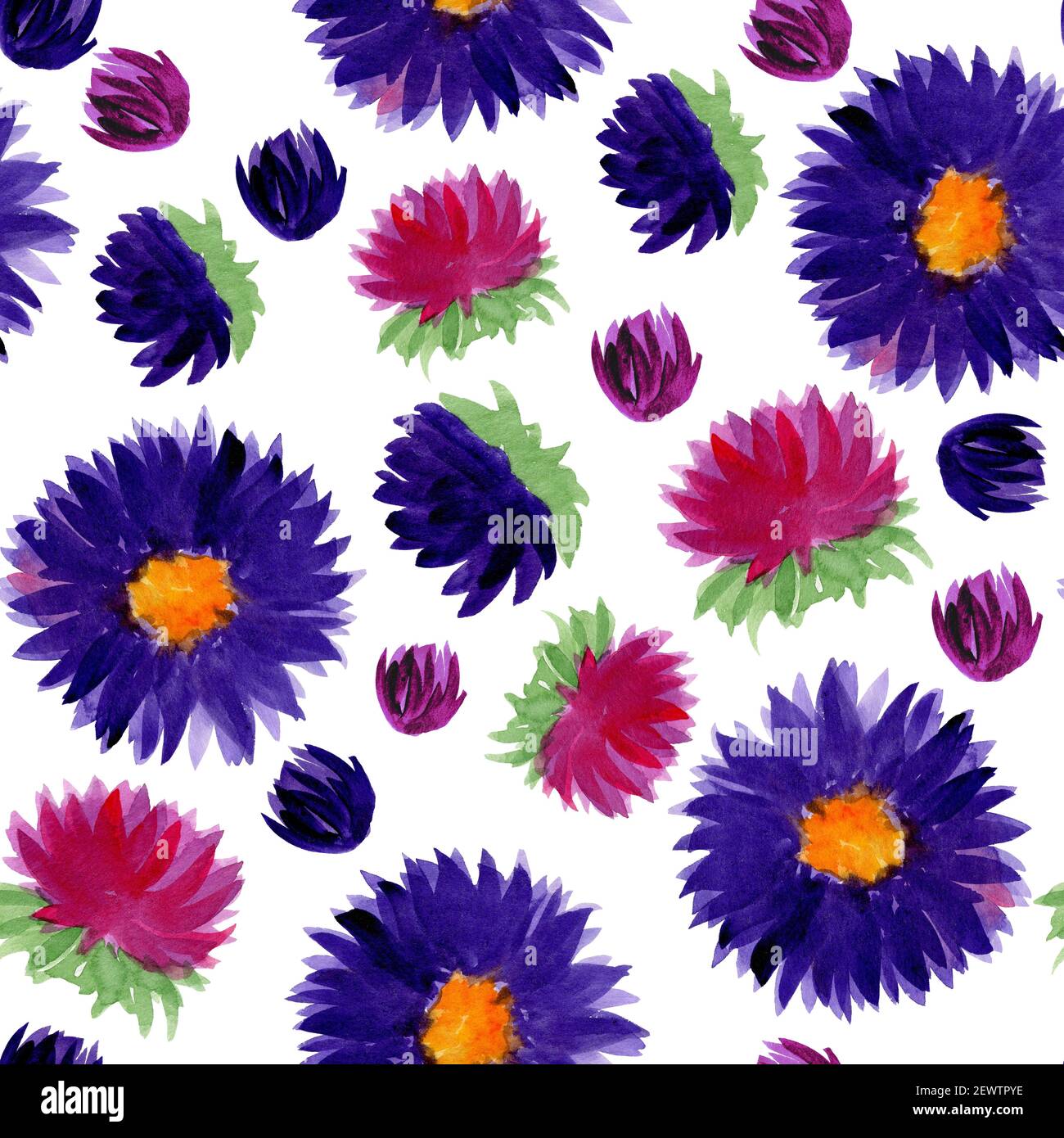 Pink and violet aster bud watercolor seamless pattern Stock Photo