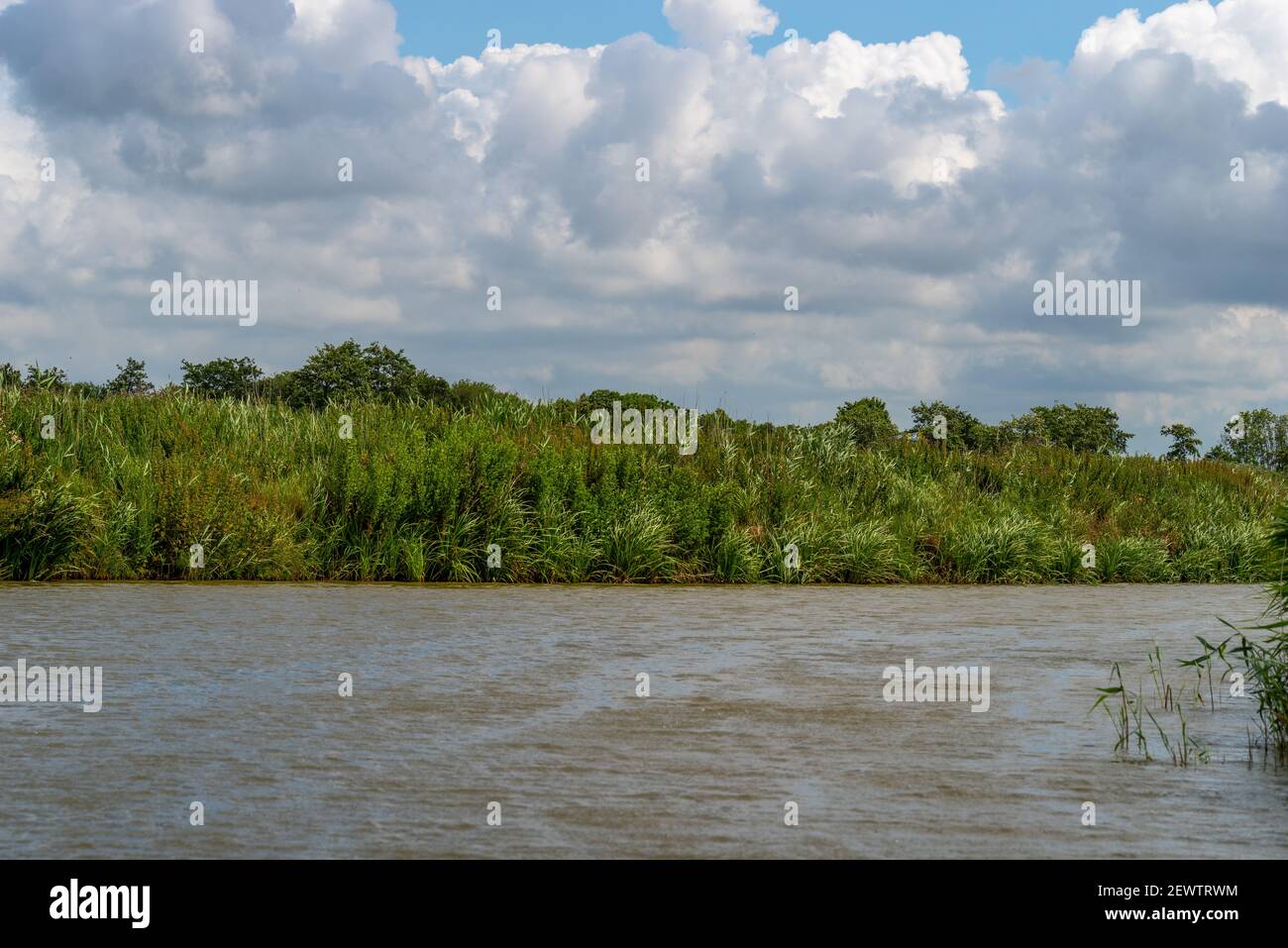 View over a sewer with reed and dramatic clouds in the blue sky in Friesland, Lower Saxony, Germany Stock Photo