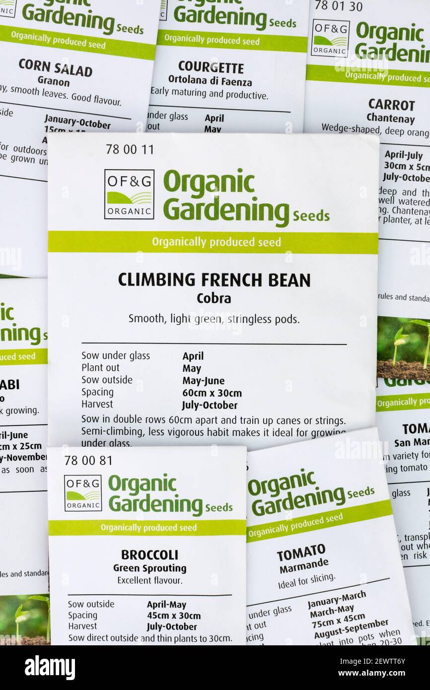 Packets of organic vegetable seed for a home vegetable garden or allotment.  From Organic Gardening certified by Organic Farmers & Growers. Stock Photo