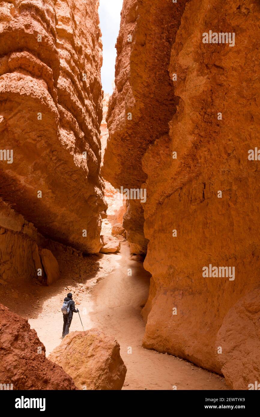 Indian, Asian woman hiking alone through a gorge in Bryce Canyon National Park, Utah, USA Stock Photo