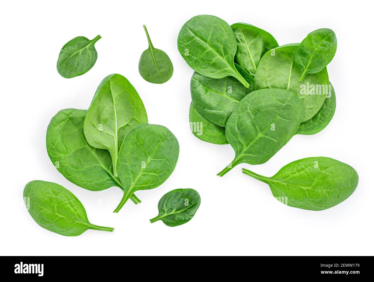 Pile of fresh green baby spinach leaves isolated on white background ...