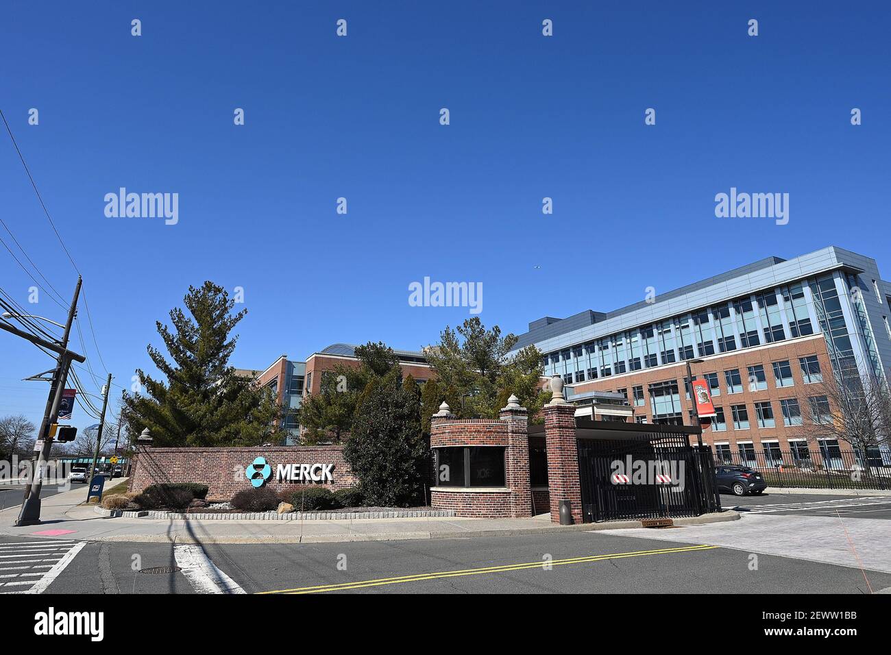 New York, USA. 03rd Mar, 2021. A view of Merck & Co. Pharmaceutical