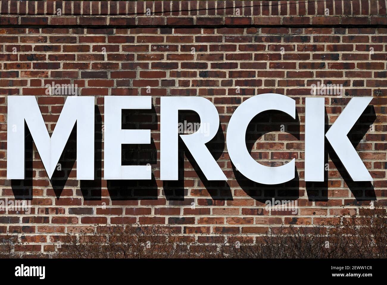 A view of Merck & Co. Pharmaceutical company name and logo outside