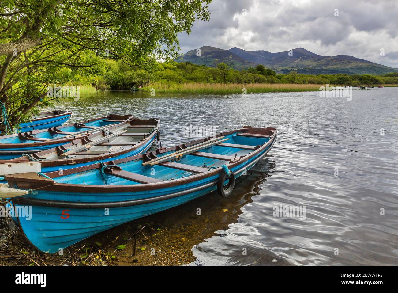 Fishing boats moored on the edge of Lough Leane in Killarney, County Kerry in Ireland. The view across Lough Leane is to the MacGillycuddy's Reeks. Stock Photo