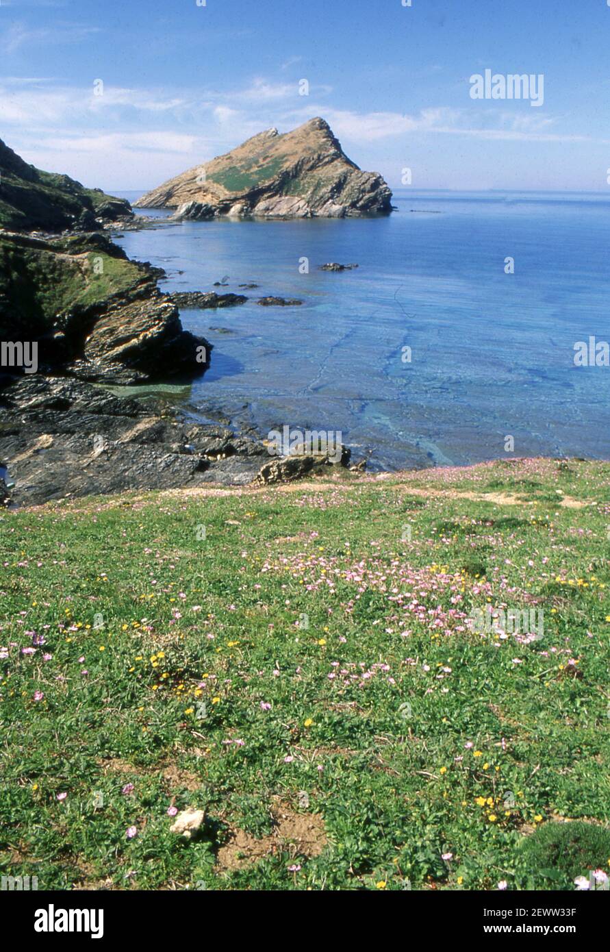 Stintino, Sardinia, Italy.(scanned from colorslide Stock Photo - Alamy