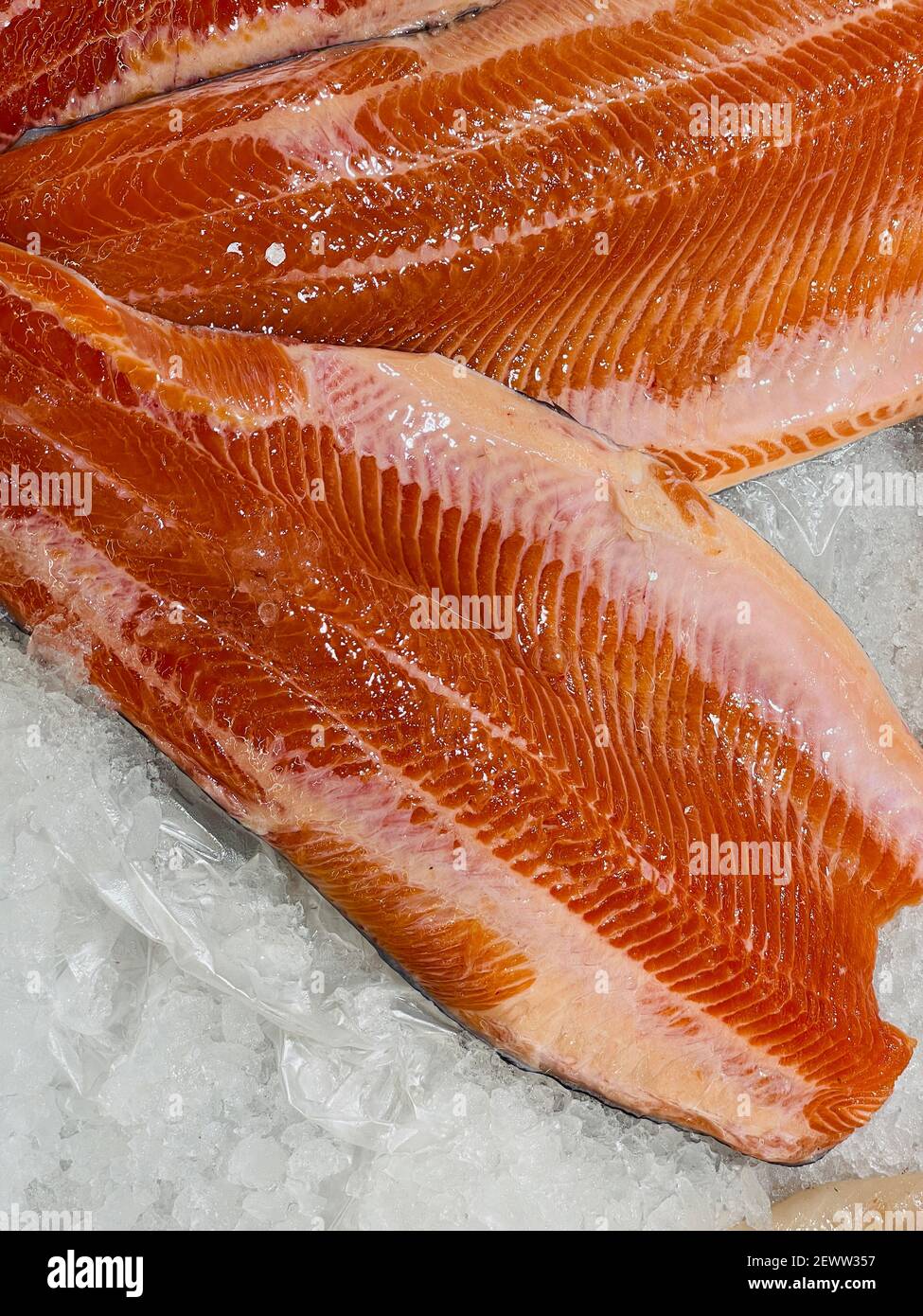 Close-up of fresh fillet of raw fish in pieces of ice. Chilled fish