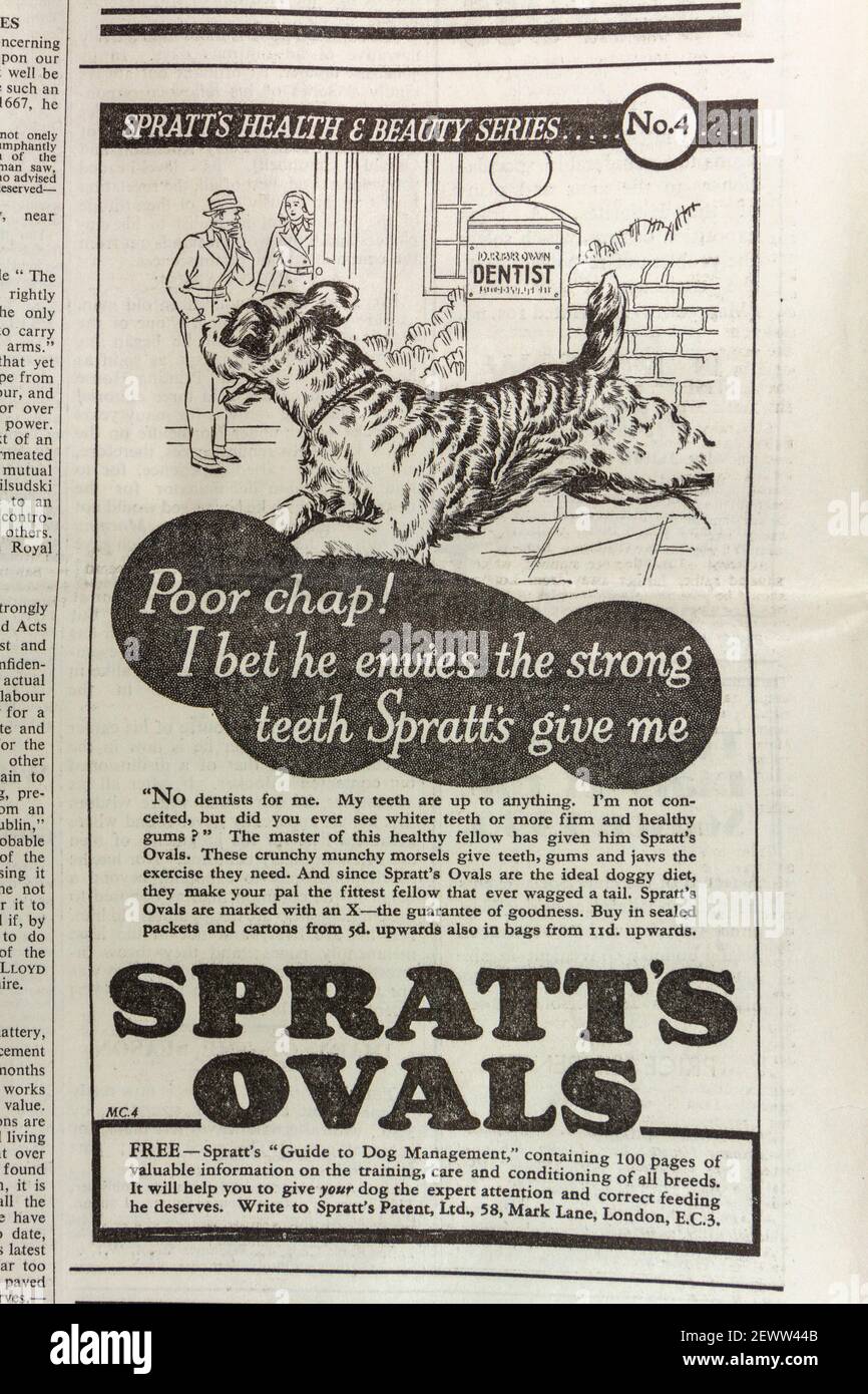 Advert for Spratt's Ovals  in The Times newspaper, London, UK, Friday 24th May 1935. Stock Photo