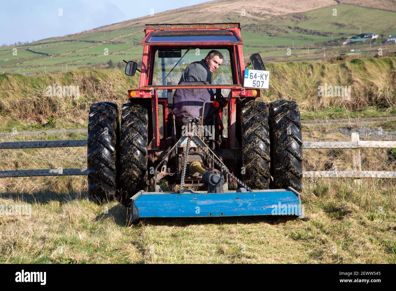 Small grass haulm topper being pulled by a tractor on domestic land Stock Photo