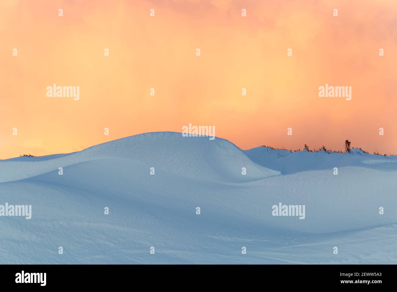 Abstract patterns and colours in snow, Orkney Isles Stock Photo