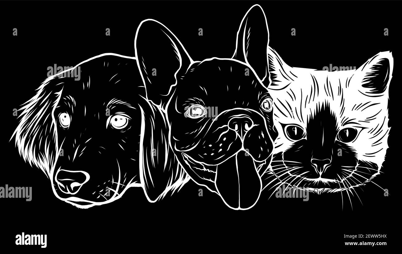 silhouette Cat and Dog characters. Best friend forever, vector ...