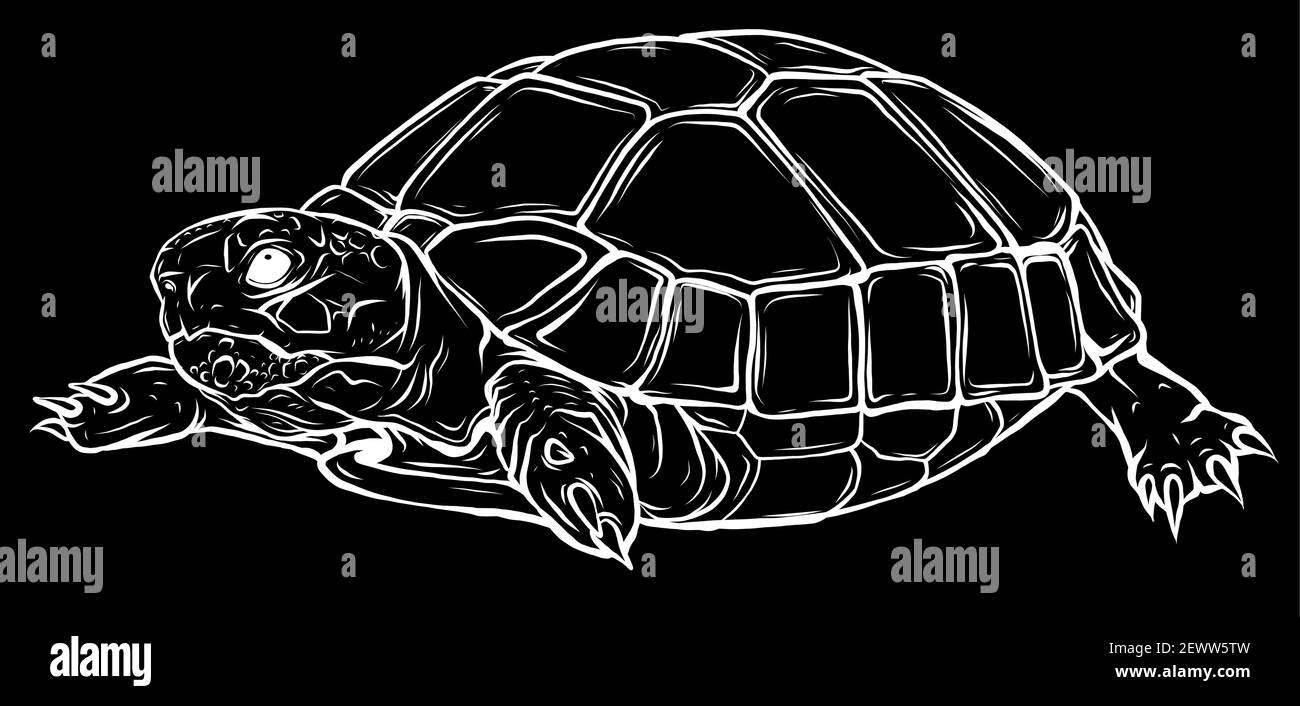 silhouette Turtle vector icon.Cartoon vector icon isolated on white background turtle. Stock Vector