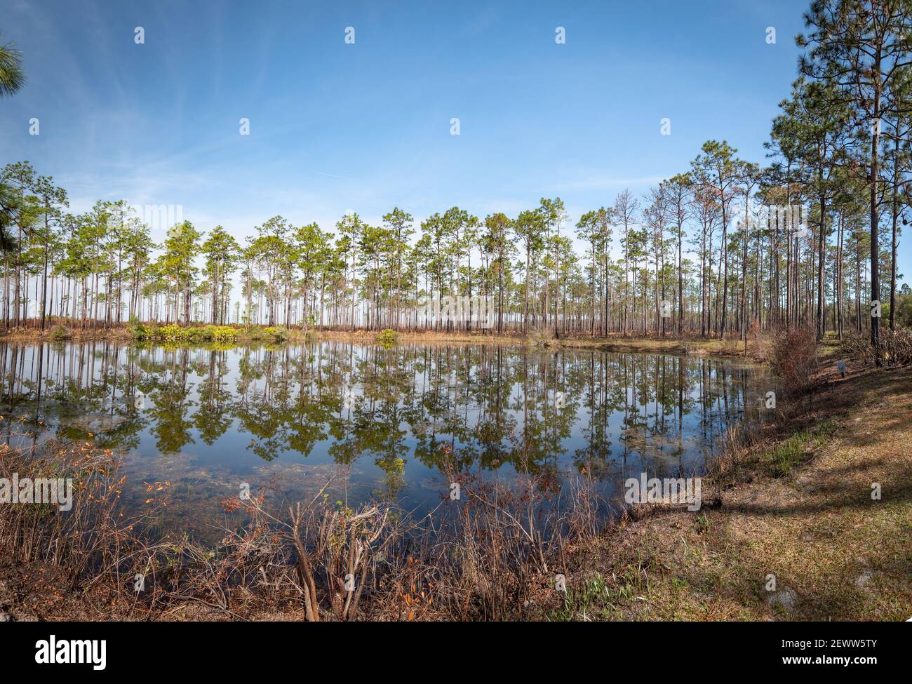 Beautiful and natural Georgian Park Stock Photo - Alamy