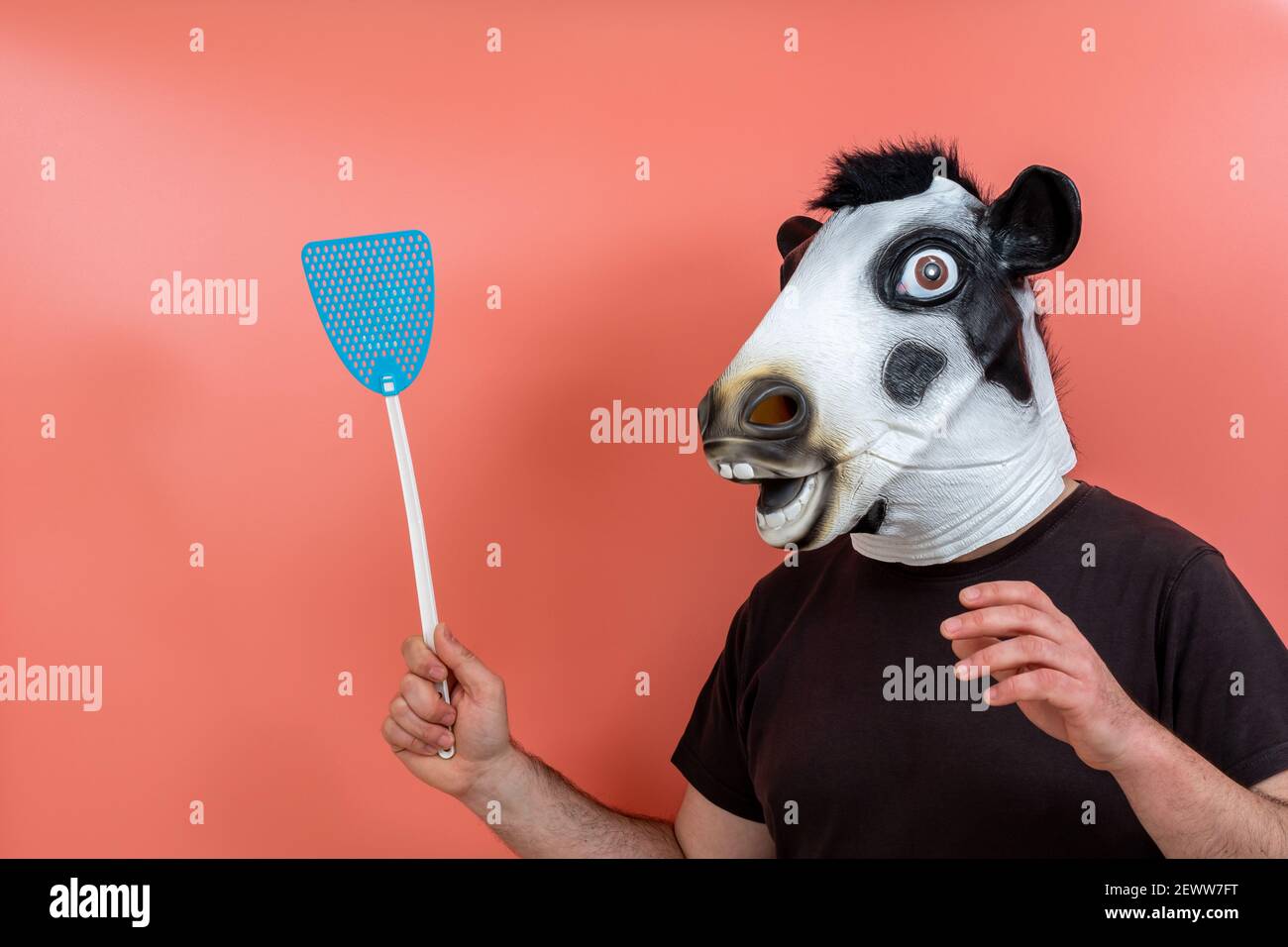 person disguised as a cow mask with a blue fly swatting shovel on a pink background Stock Photo