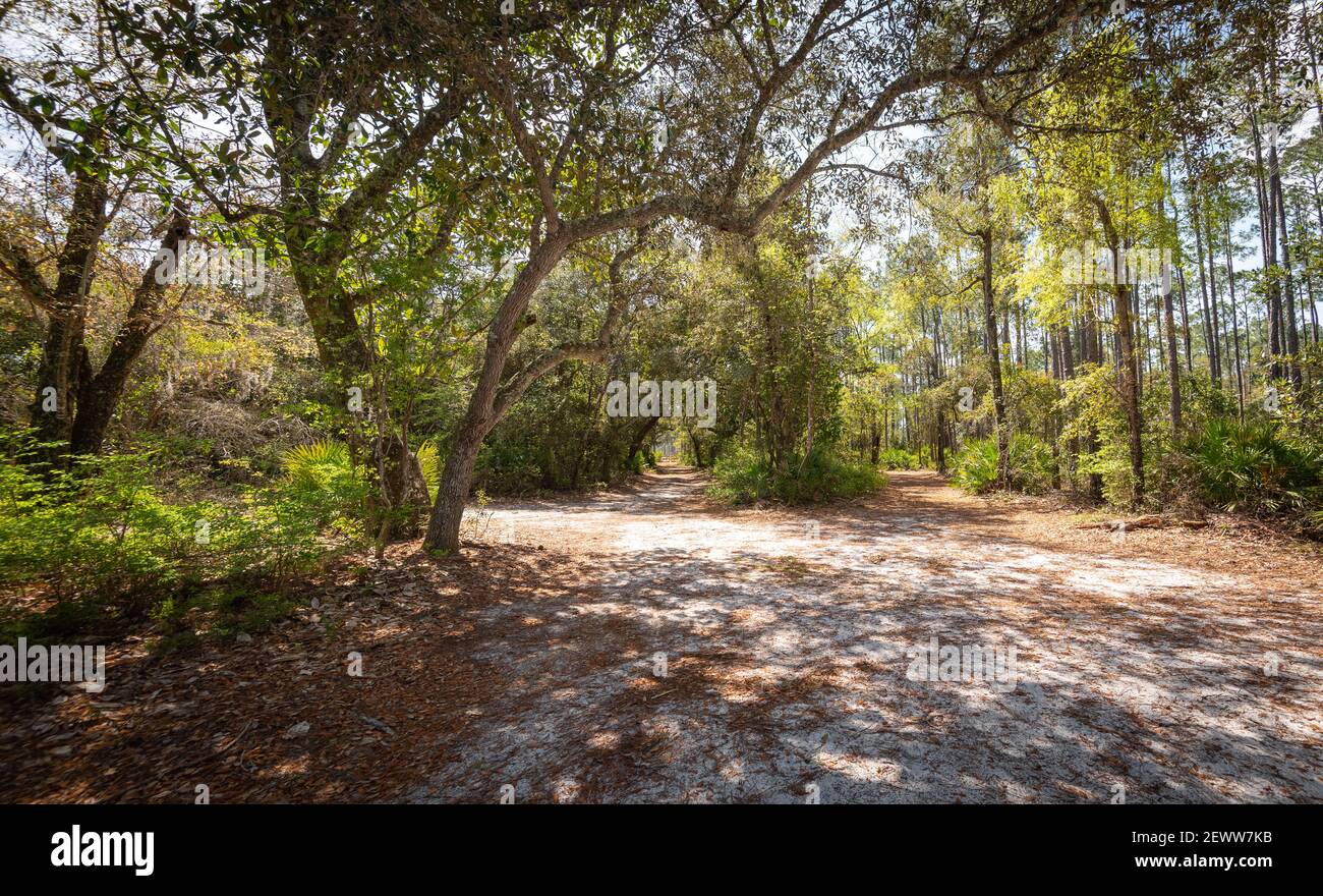 Beautiful and natural Georgian Park Stock Photo - Alamy