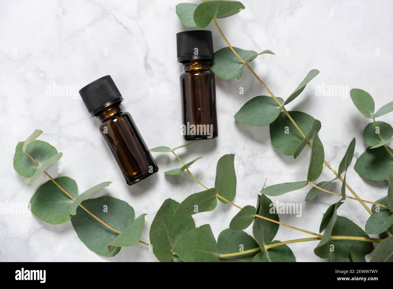 Eucalyptus essential oil bottles and fresh eucalyptus branch with leaves on marble background. Natural skin care products. Spa, wellness and Stock Photo