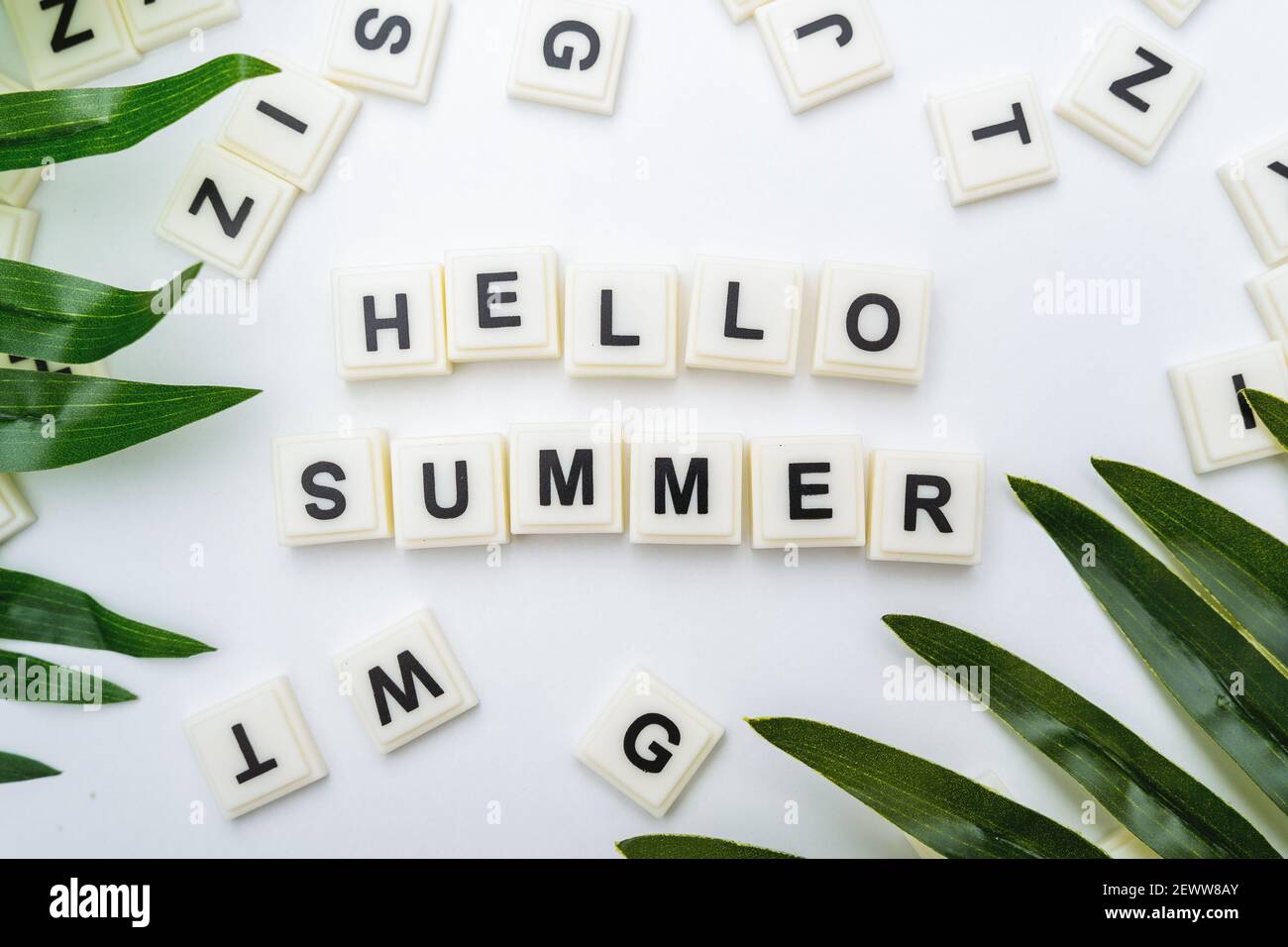 Hello Summer Quote on Alphabet Blocks With Tropical Leaves on White Background Stock Photo