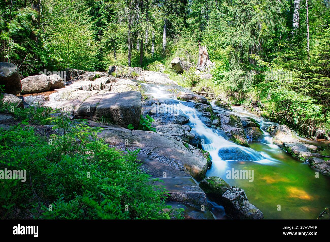 A beautiful view of a waterfall and stones in the forest Stock Photo ...