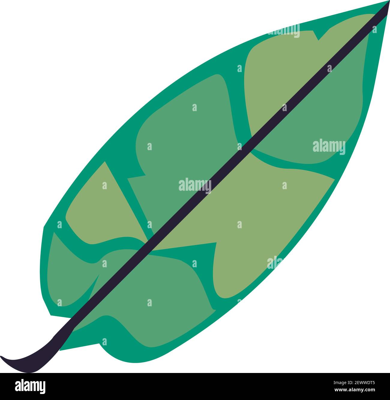 exotic leaf palm nature icon Stock Vector Image & Art - Alamy