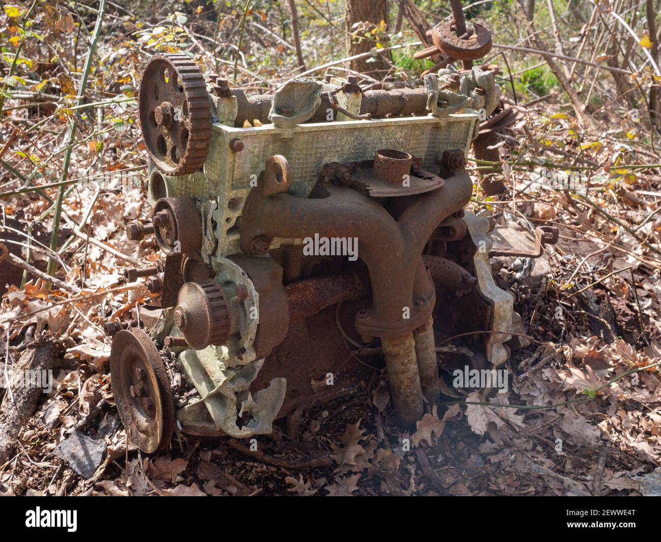 engine of a car abandoned in nature,  a symbol of degradation and pollution of the natural environment Stock Photo