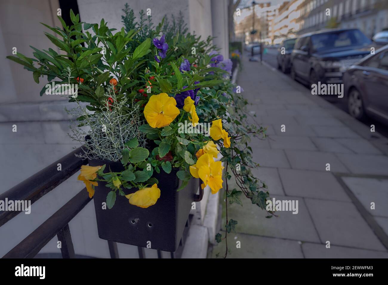 Window box with yellow, red and purple flowers in bloom with empty