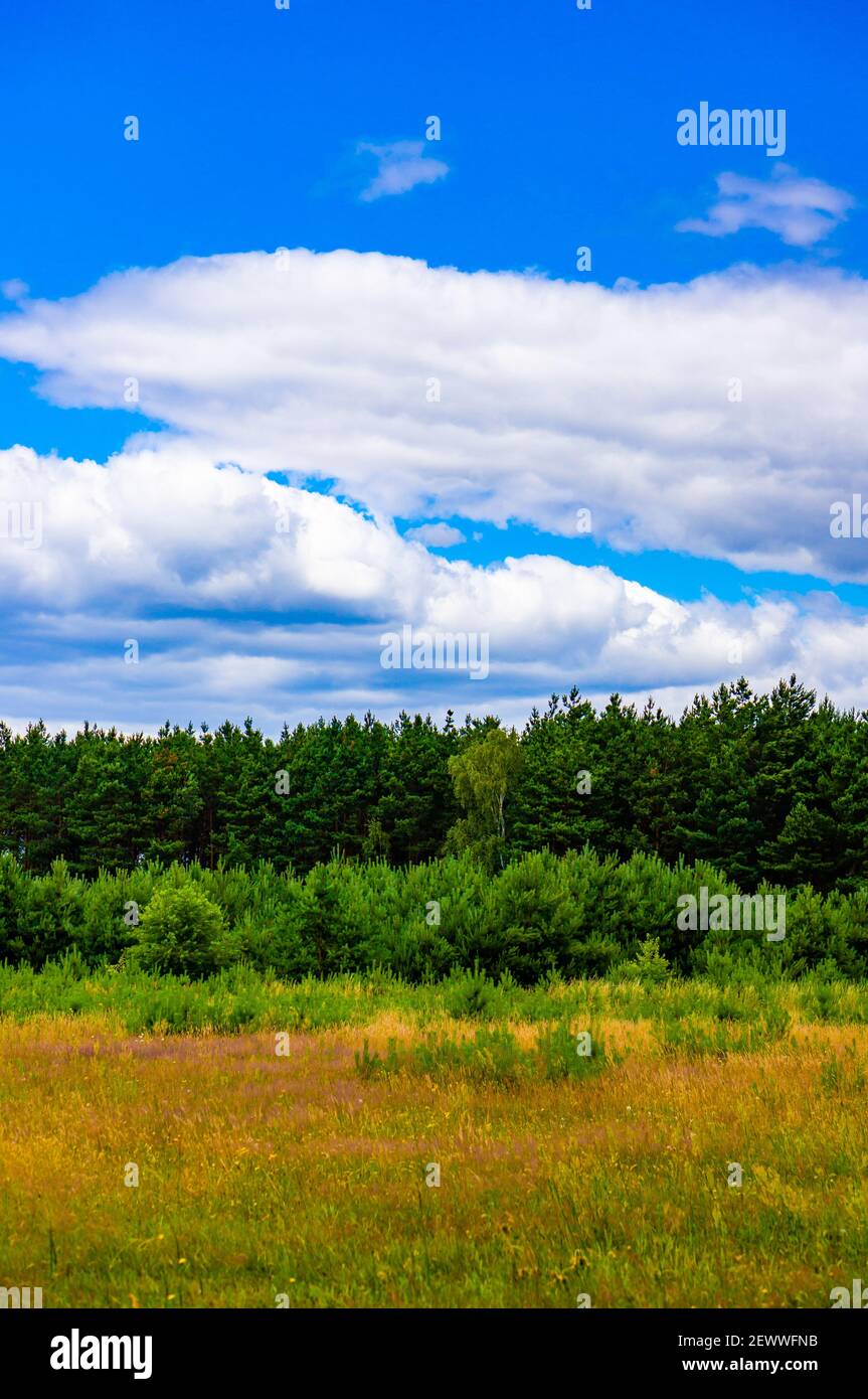 Green field with forest and blue sky Stock Photo - Alamy