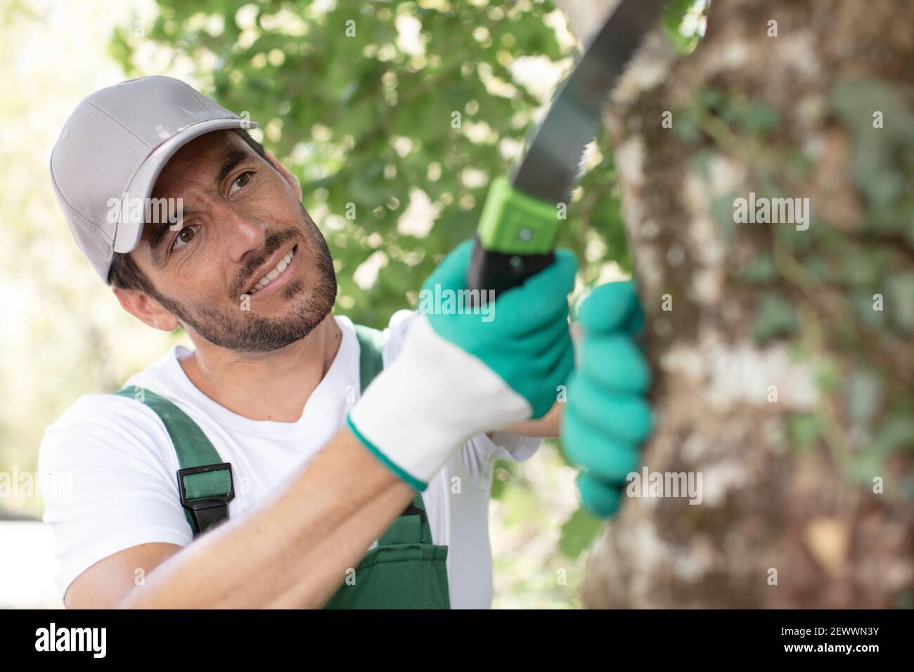 lumberjack logger worker is cutting a tree Stock Photo - Alamy
