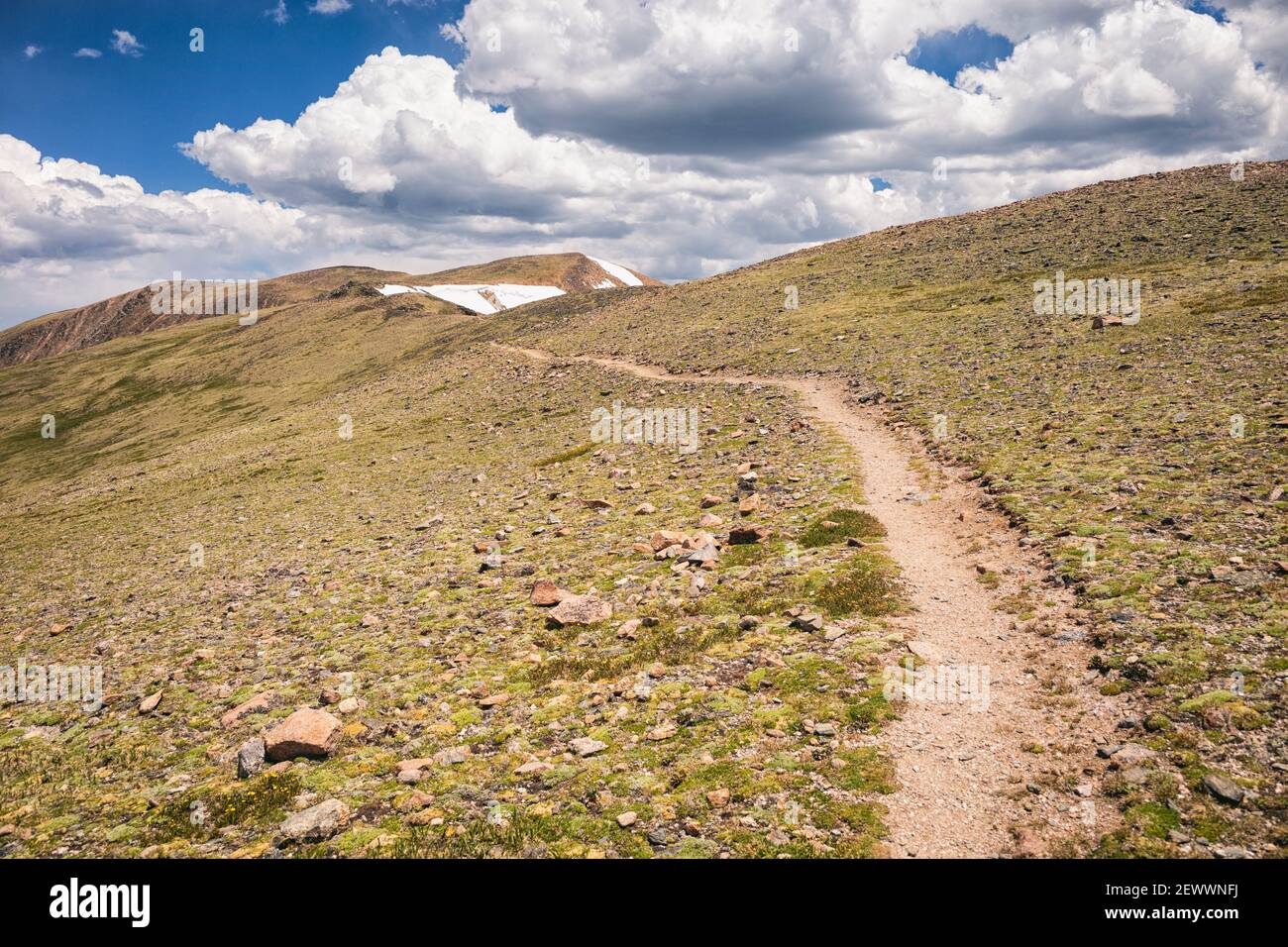 Continental Divide Trail in Colorado Stock Photo Alamy