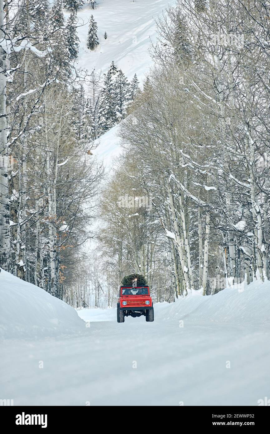 SUV with Christmas tree on roof drives down snowy mountain forest road Stock Photo
