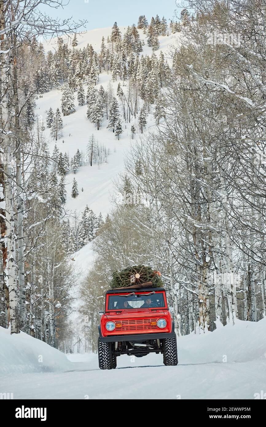 Ford Bronco with Christmas Tree on roof drives drives on snowy road Stock Photo